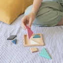 JUEGO MR13178 TANGRAM
