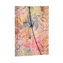 CUADERNO PAPERBLANKS PB7228-7 TAPA DURA MIDI ANÉMONAS RAYADO 