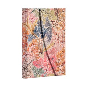 CUADERNO PAPERBLANKS PB7229-4 TAPA DURA MINI ANÉMONAS RAYADO 