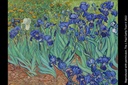 AGENDA PAPERBLANKS DED5400 2025 LIRIOS DE VAN GOGH / LIRIOS DE VAN GOGH / ULTRA / VERTICAL