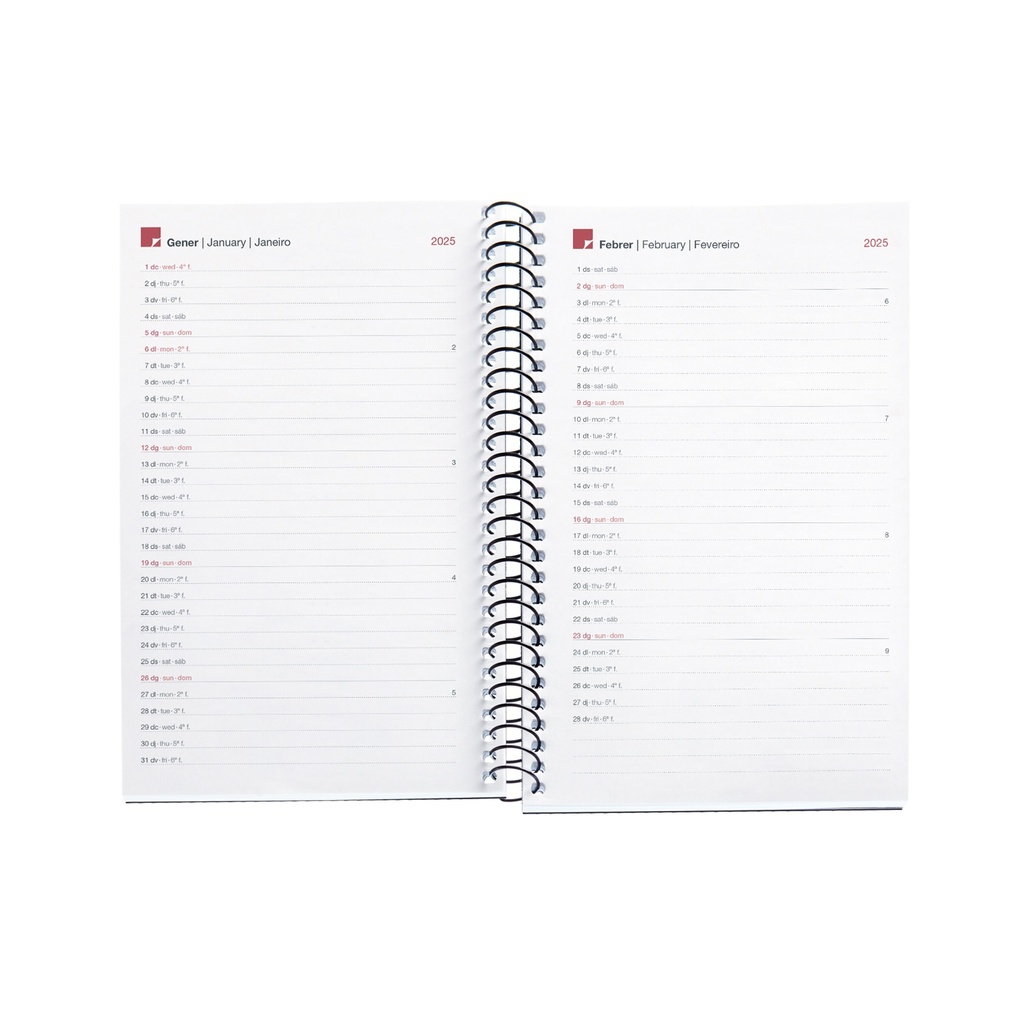 AGENDA MR38818 ESPIRALACTIVA D/P-CAT PP CITY NEGRO25