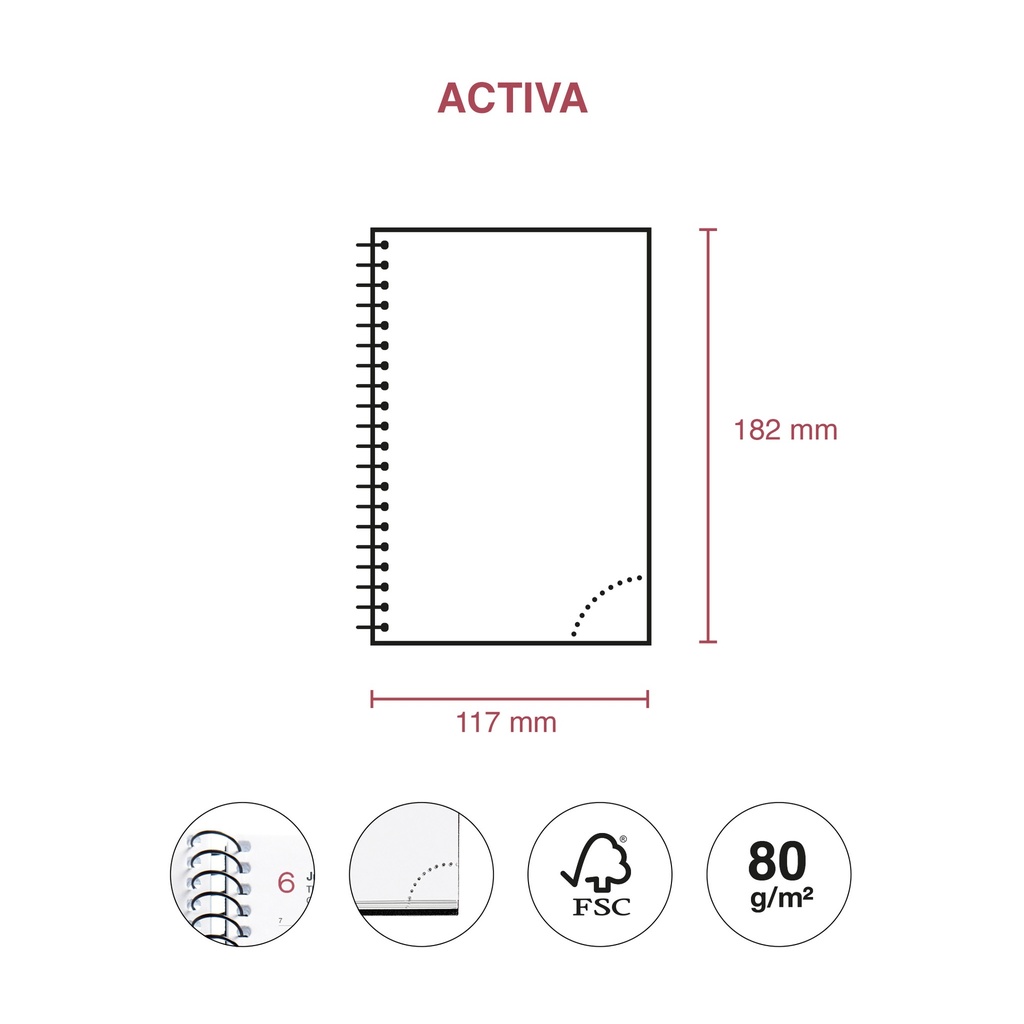 AGENDA MR38818 ESPIRALACTIVA D/P-CAT PP CITY NEGRO25