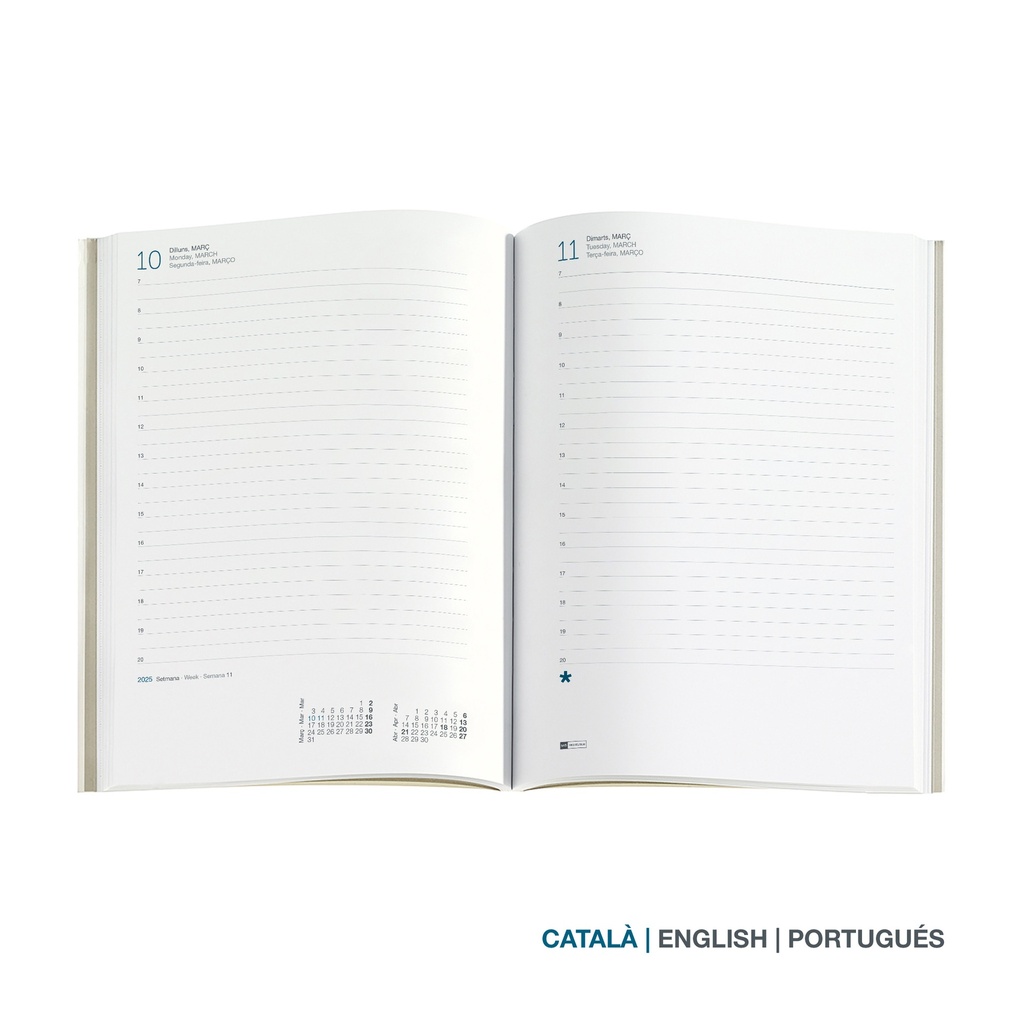 AGENDA MR22969 PLUS D/P-CAT DAISIES 25