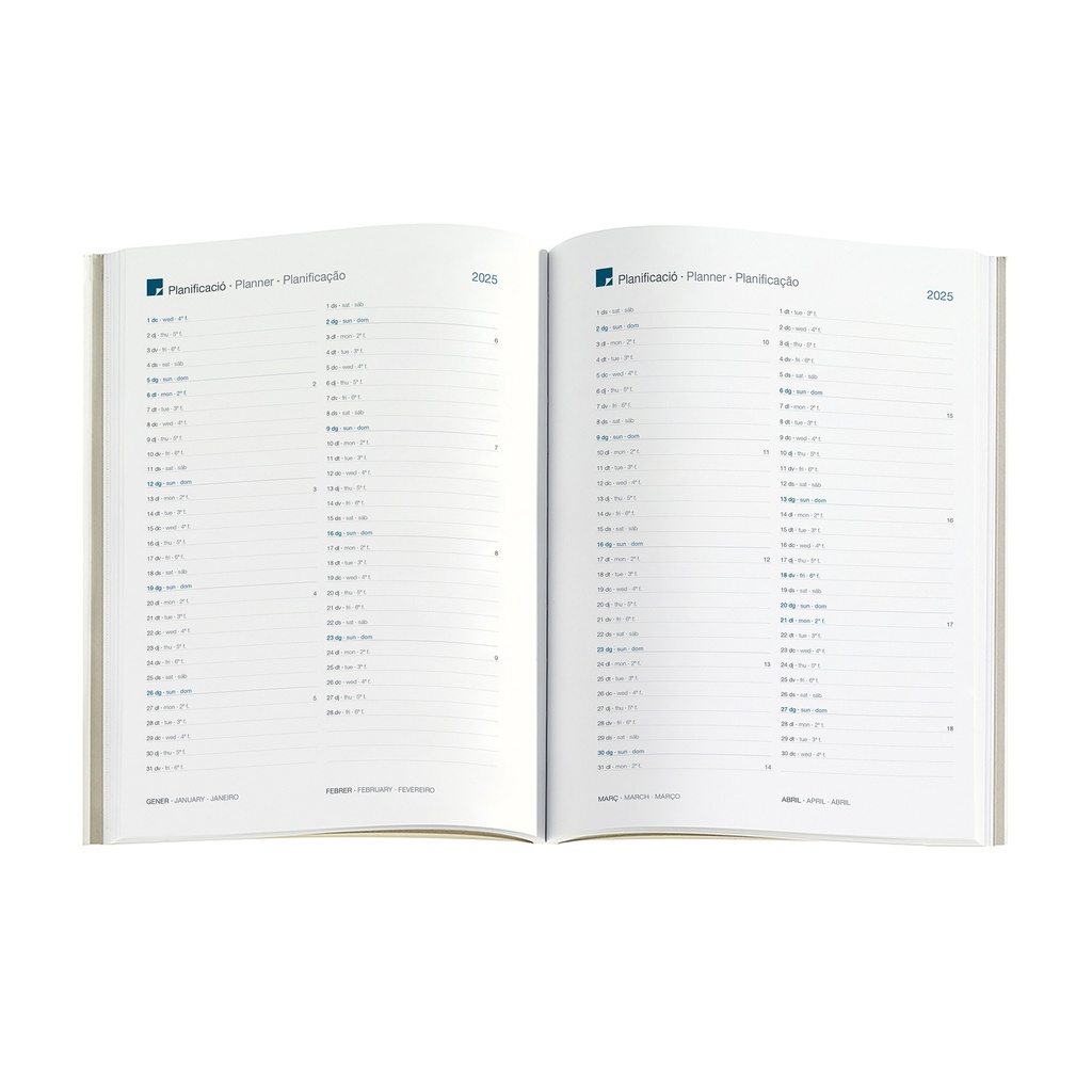 AGENDA MR22969 PLUS D/P-CAT DAISIES 25