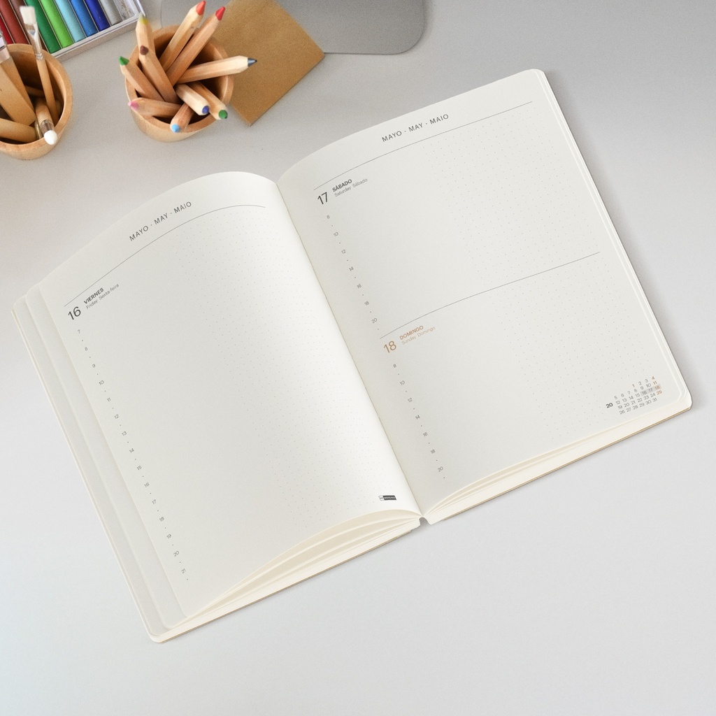 AGENDA MR34279 PLUS D/P KRAFT YEAR BASICS 25