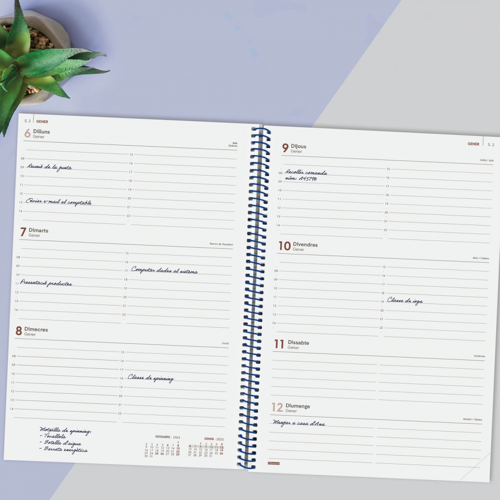 AGENDA FINOCAM 741511025 ESPIRAL YEAR E40 SVH 2025 AZUL CAT+