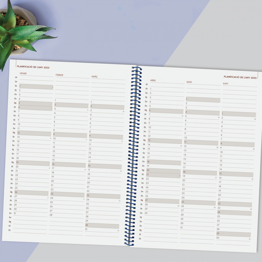 AGENDA FINOCAM 741511025 ESPIRAL YEAR E40 SVH 2025 AZUL CAT+
