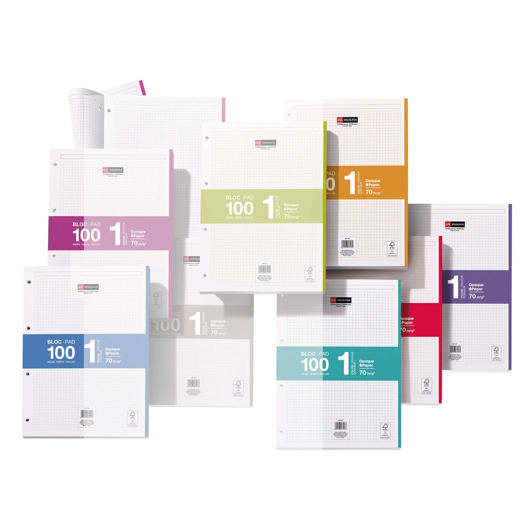 RECAMBIO MR9029 A4 CUADRICULA 100+50 5 COLORES SURTIDO PASTEL