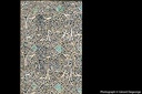 AGENDA PAPERBLANKS FSD6248 2025 FP 12 / GRANADA TURQUOISE / MINI / HORIZONTAL