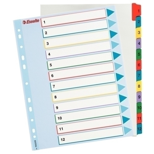 INDICE LEITZ 100209 PROYECTOS '1-12 A4 RESCRIBE 