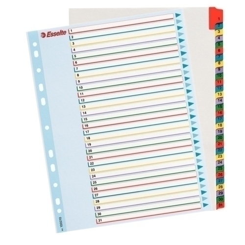 INDICE LEITZ 100210 PROYECTOS 1-31 A4 RESCRIBE 