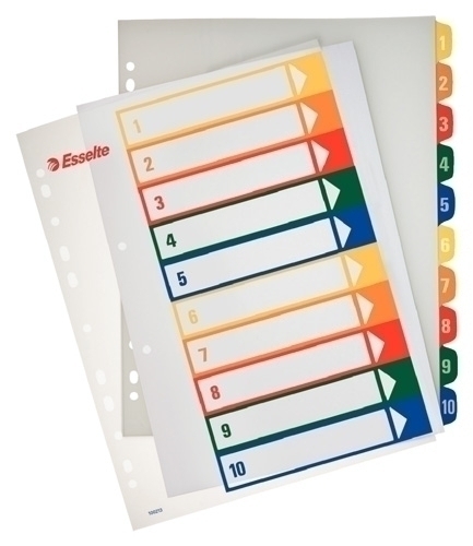 INDICE LEITZ 100213 PROYWCTOS 1-10 PP A4 IMPRIMIBLE 