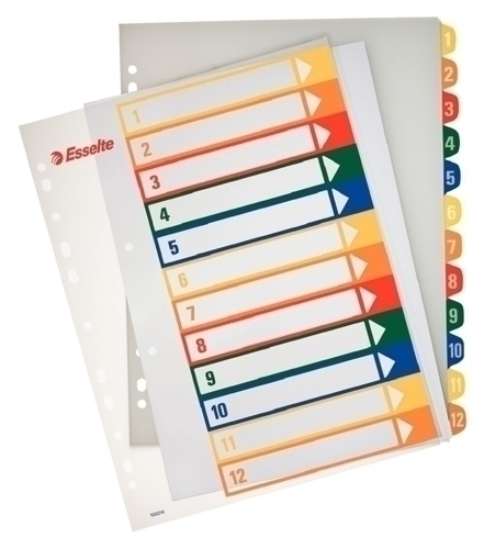 INDICE LEITZ 100214 PROYECTOS 1-12 PP A4 IMPRIMEBLE 