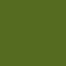 [400108144] HOJA 21X29,7 GUARRO CART IRIS 185G VERDE SAFARI