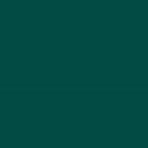 [400109811] Hoja 50x65 (125) Guarro Cart IRIS 185g Verde Safari