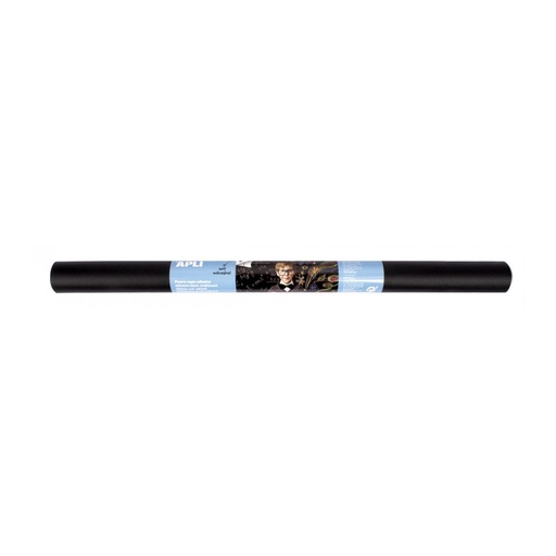 [17166] ROLLO APLI 17166 ADH. PIZARRA NEGRA 0,5X2 M