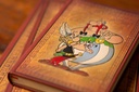 AGENDA PAPERBLANKS DSD5483 2025 ASTÉRIX Y OBÉLIX / LAS AVENTURAS DE ASTÉRIX / MINI / APAISADO