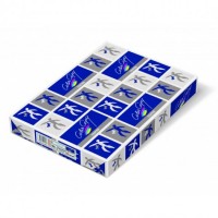 [CG1732] PAPEL COLOR C. GLOSSY 170 GRS 45X32