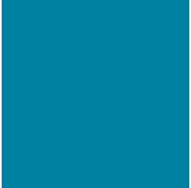 [200040262] HOJA CANSON 200040262 50X65 (125) GUARRO CART IRIS 185G AZUL MAR