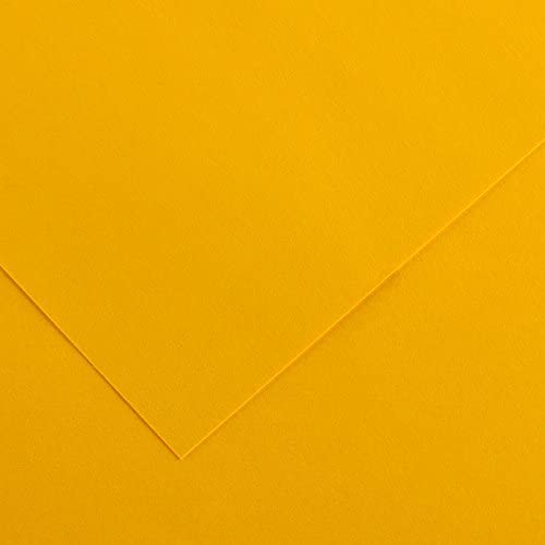 [200040269] HOJA CANSON 200040269 50X65 (125) GUARRO CART IRIS 185G CUERO