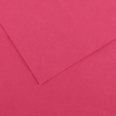 HOJA CANSON 200040254 50X65 (125) GUARRO CART IRIS 185G FUCSIA