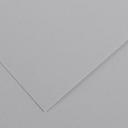 [200040271] HOJA CANSON 200040271 50X65 (125) GUARRO CART IRIS 185G GRIS PERLA