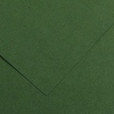 HOJA CANSON 200040267 50X65 (125) GUARRO CART IRIS 185G VERDE ABETO