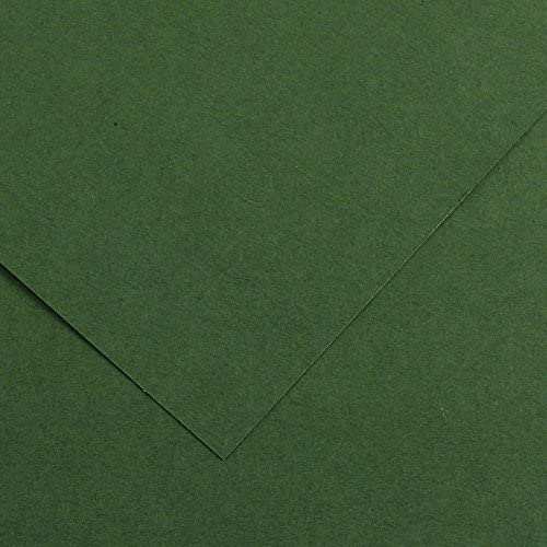 [200040267] HOJA CANSON 200040267 50X65 (125) GUARRO CART IRIS 185G VERDE ABETO