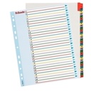 INDICE LEITZ 100210 PROYECTOS 1-31 A4 RESCRIBE 